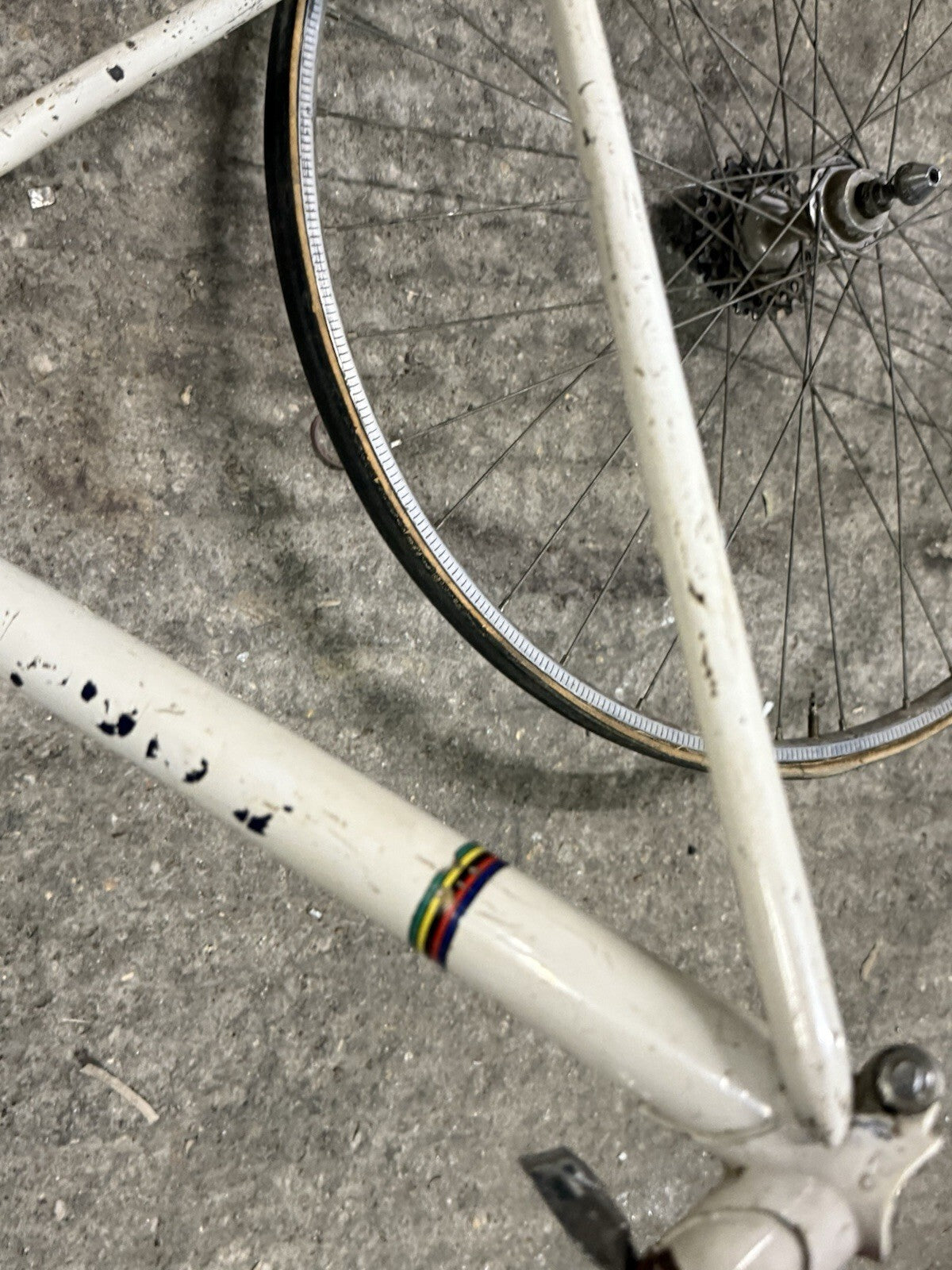 Vintage  Torpado Road Frameset Steel Needs Restoration