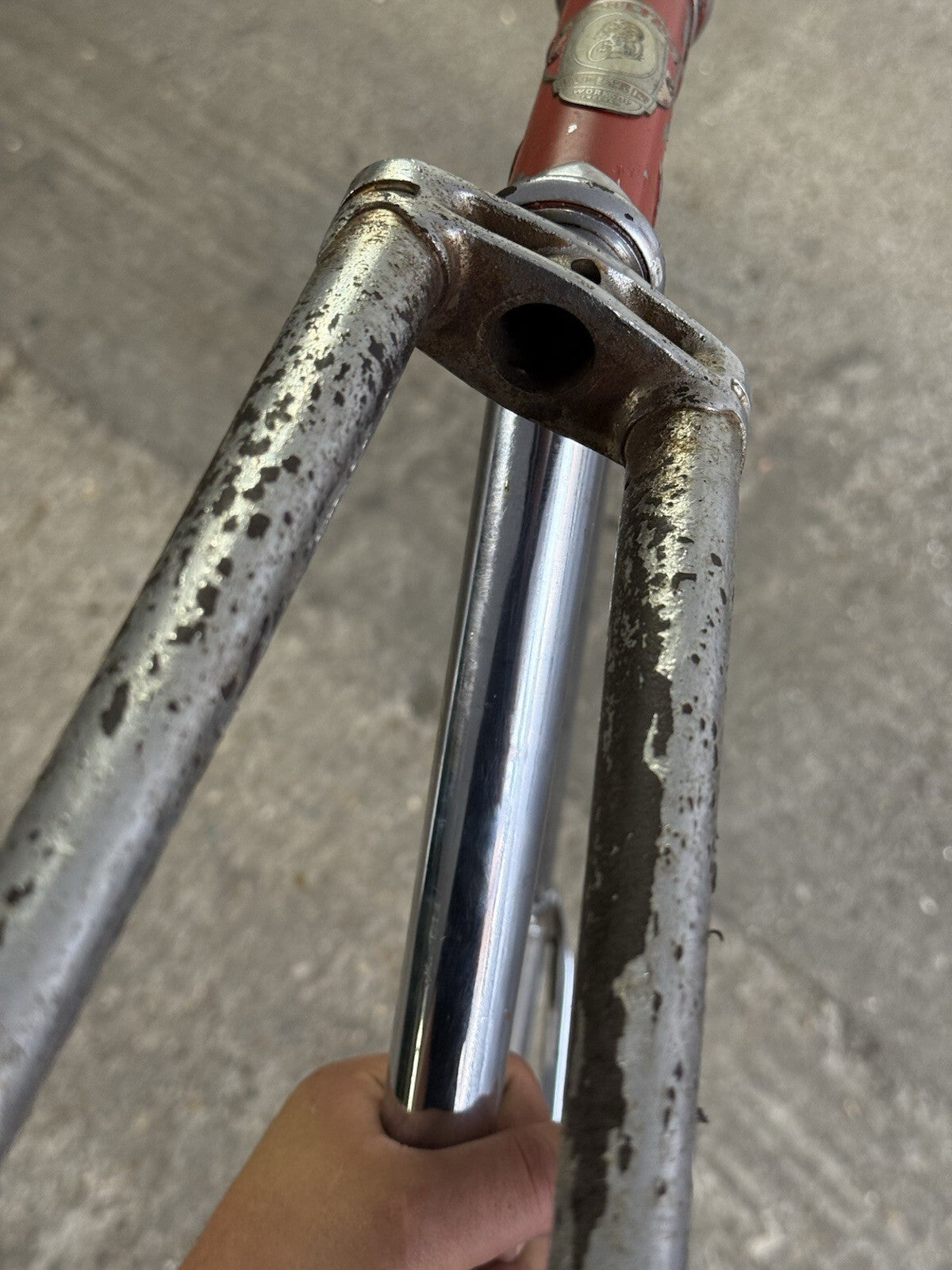 Carlton Pista Steel Frameset Sixze Medium Need Restoration