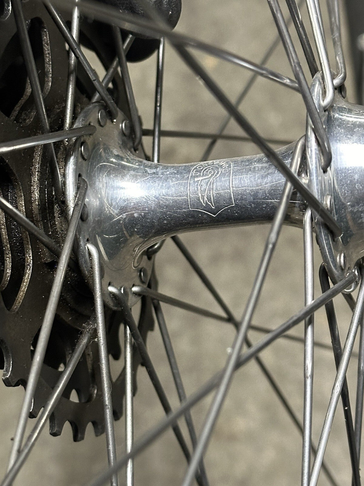 Vintage Camapgnolo Wheelser Regina Cassette Vintage Retro Wheelstubular - product photo 10 | Miclo Bikes