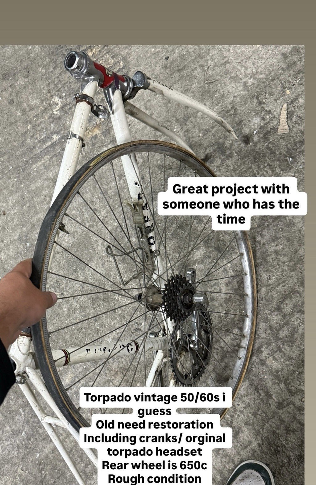 Vintage  Torpado Road Frameset Steel Needs Restoration