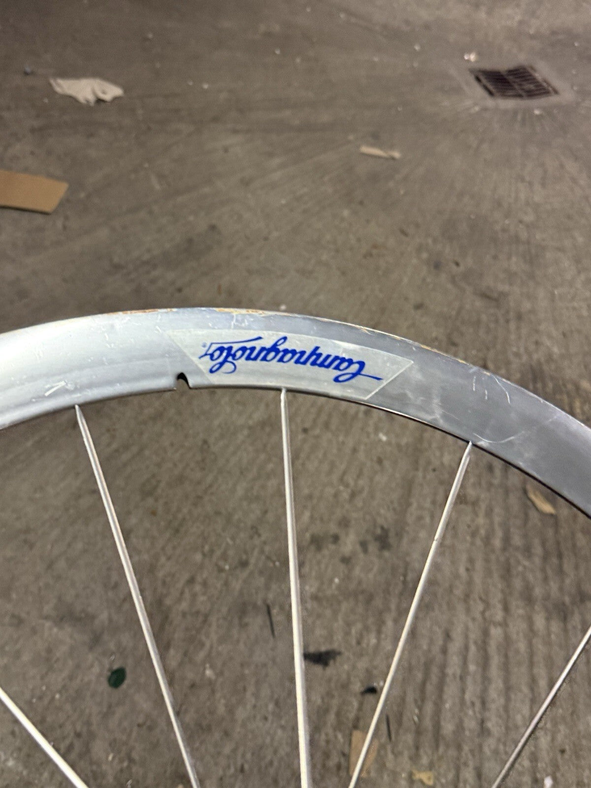 Rare Campagnolo Shamal Front Wheel 1st Gen Pista 650c Tubular