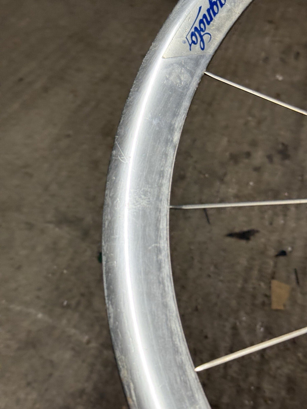Rare Campagnolo Shamal Front Wheel 1st Gen Pista 650c Tubular