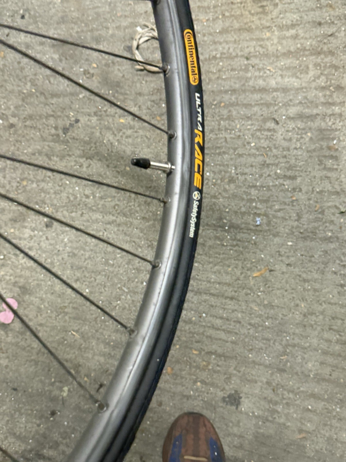 Shimano Sante Clincher Wheelset 7speed Cassette