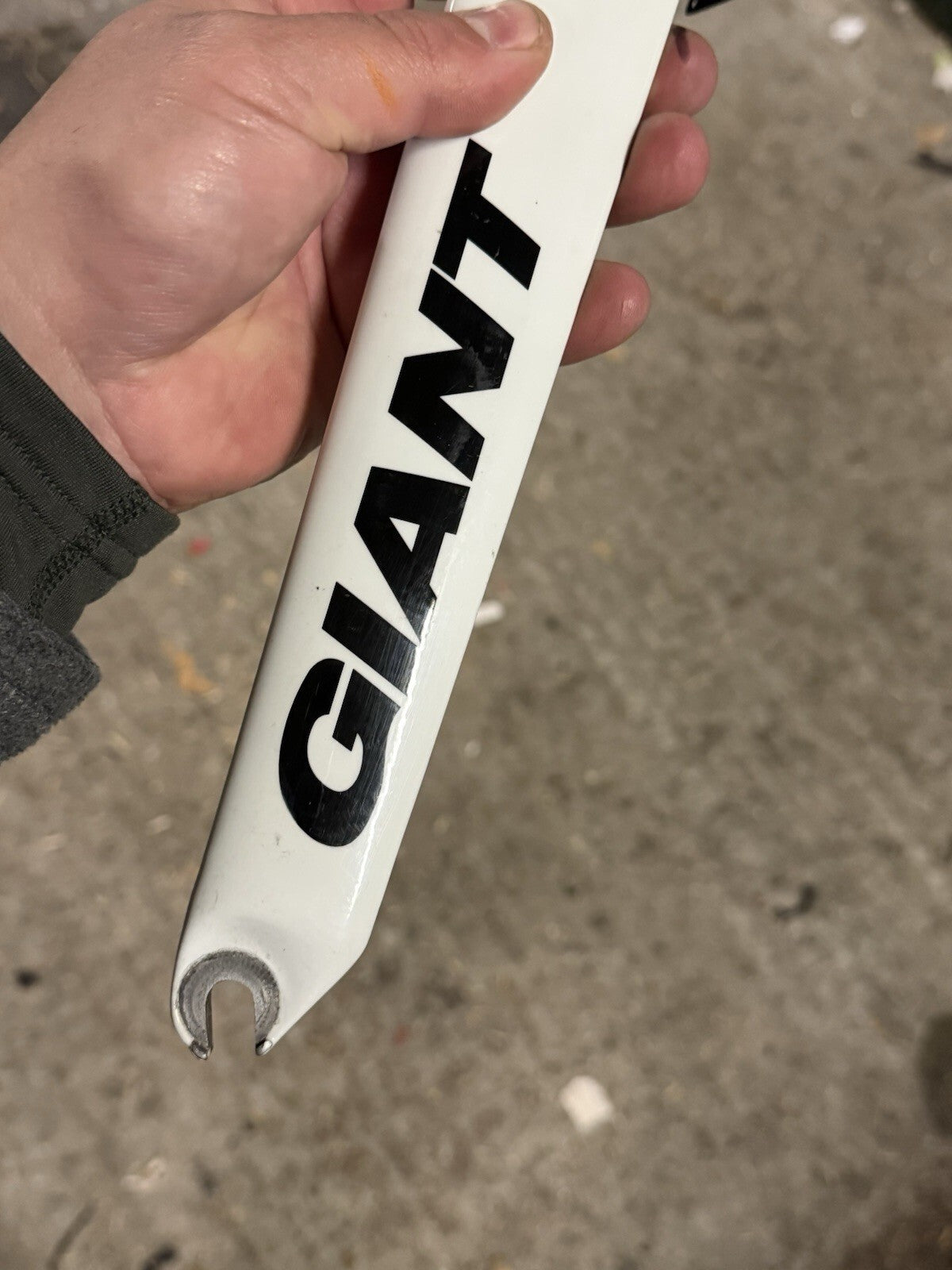 Giant Road Time Trial Carbon Forks With Caliper Tt Forks