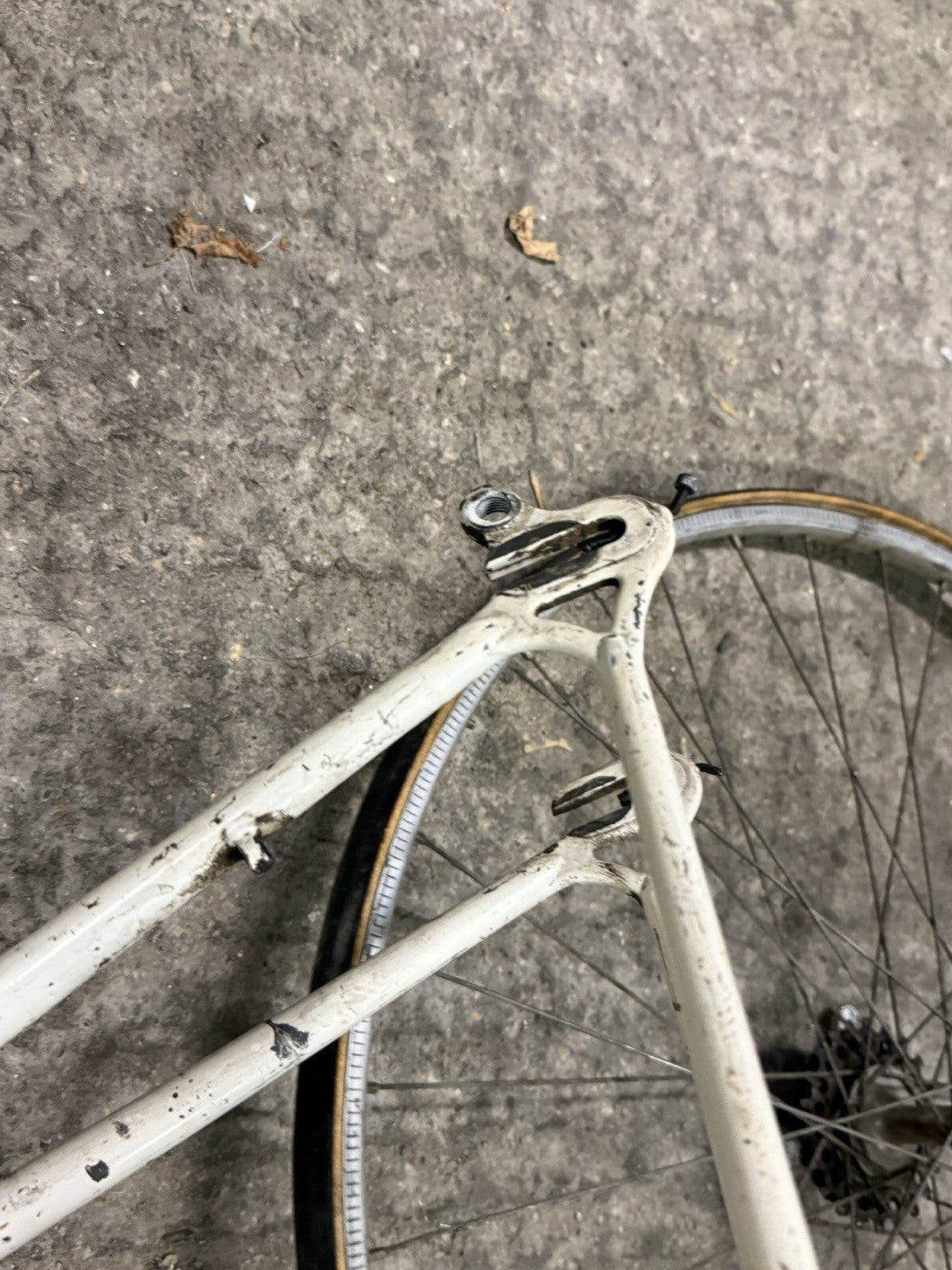 Vintage  Torpado Road Frameset Steel Needs Restoration