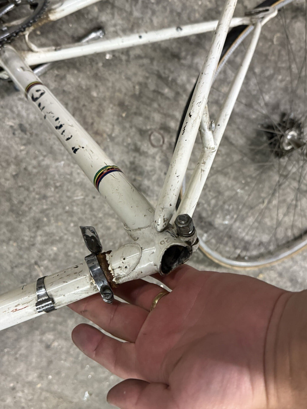 Vintage  Torpado Road Frameset Steel Needs Restoration