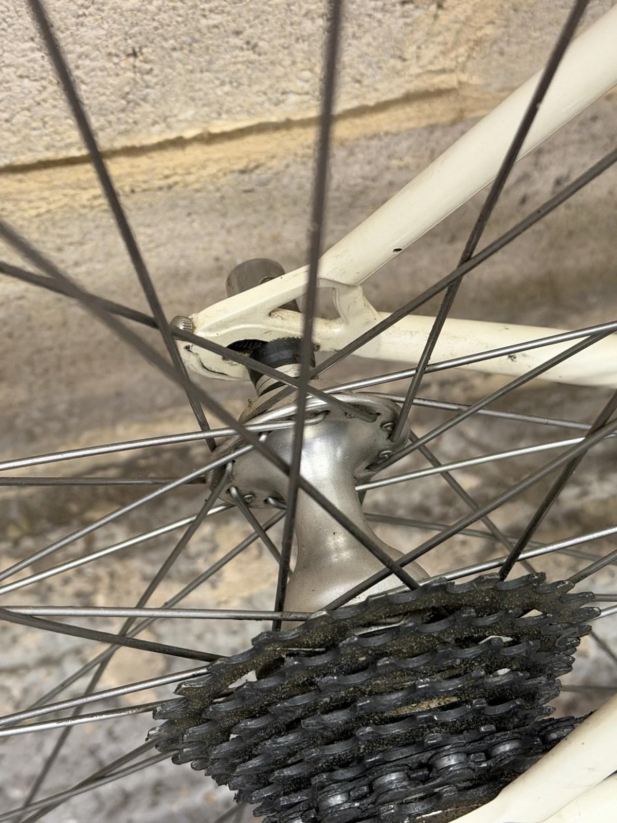 Pinarello Banestro Size Large Campagnolo Groupset Clincher Wheels Road Bike
