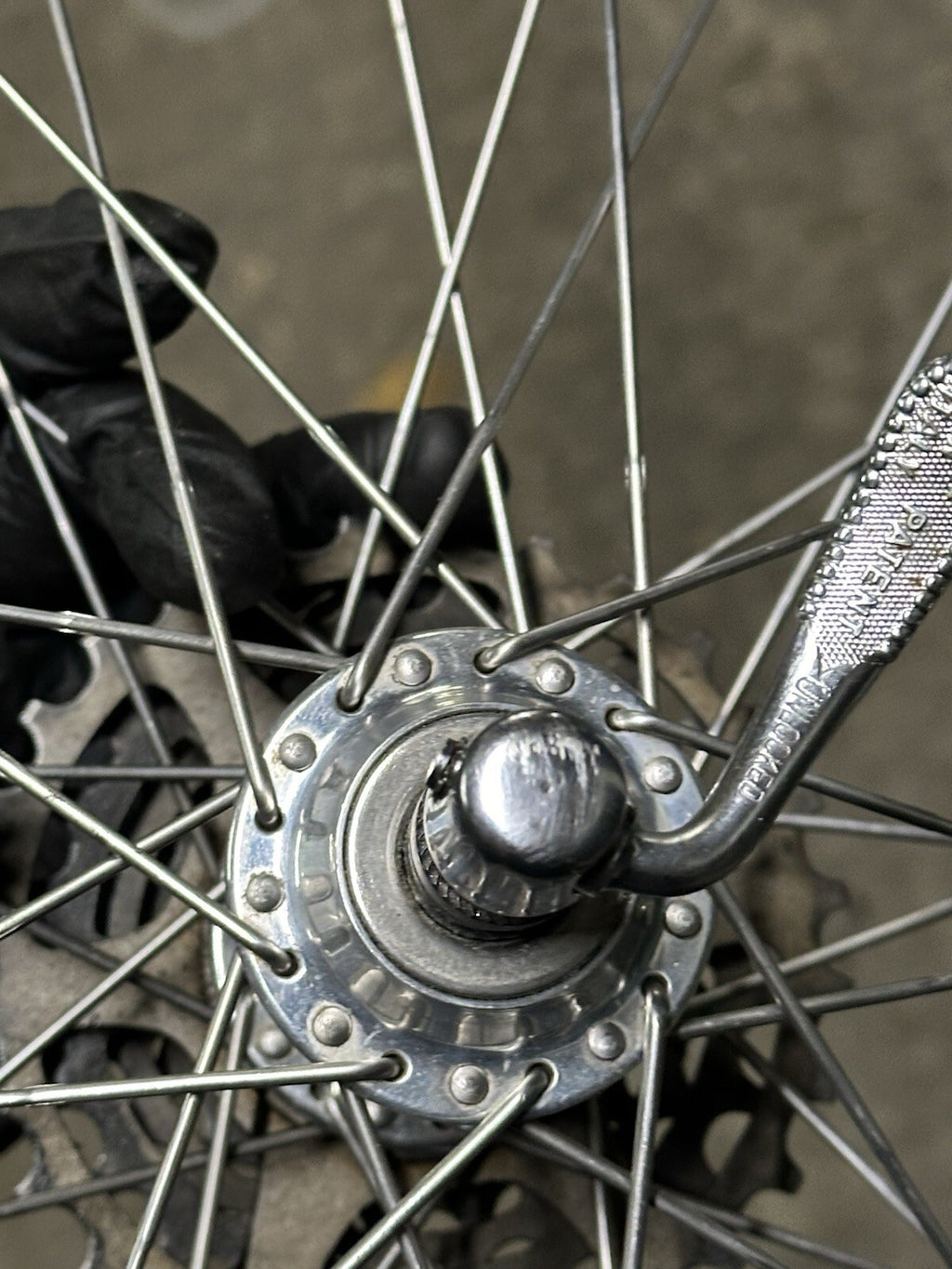 Vintage Camapgnolo Wheelser Regina Cassette Vintage Retro Wheelstubular - product photo 15 | Miclo Bikes