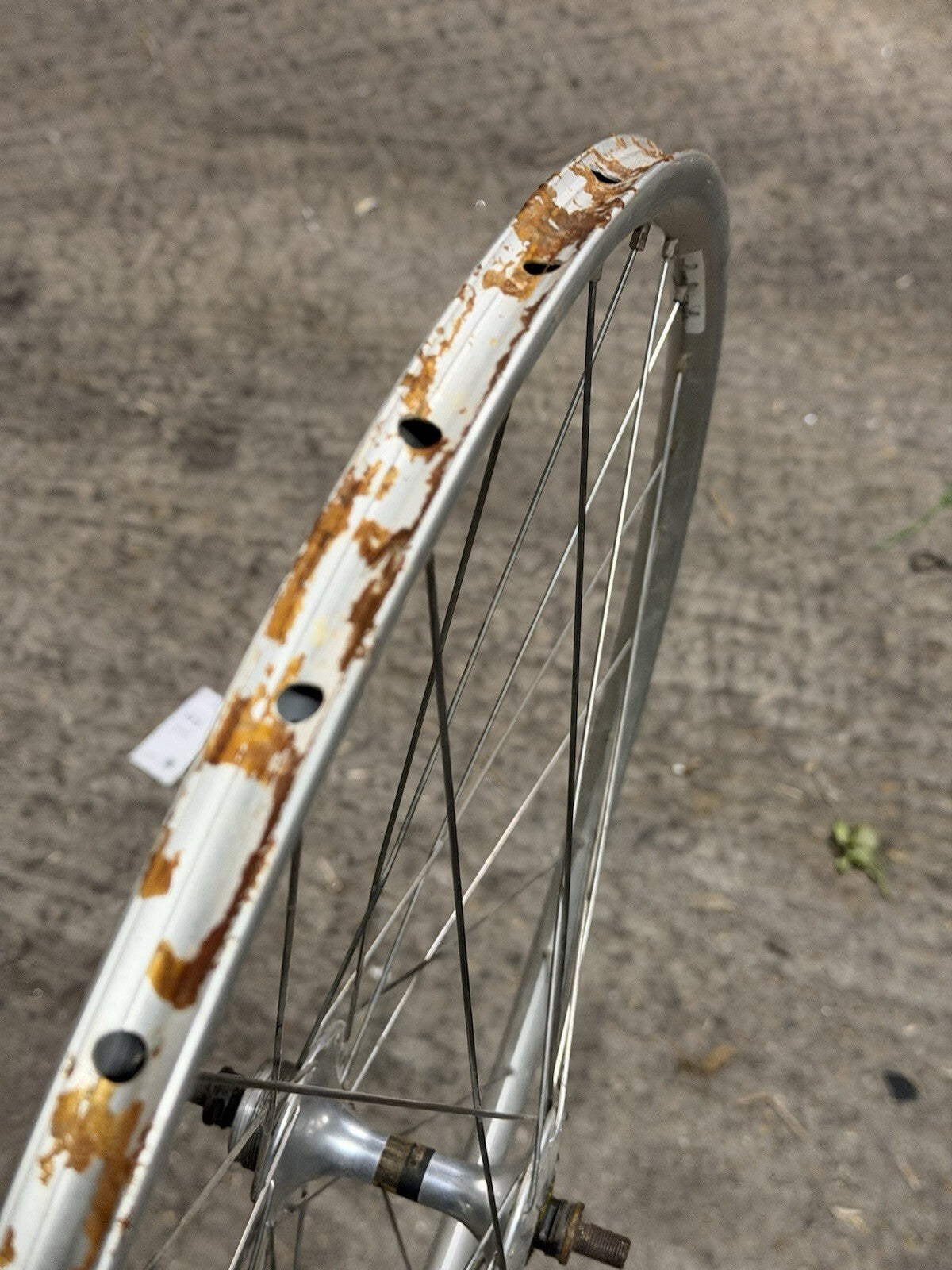 Tubular Miche Rear Track Pista Wheel Campagnolo Rim - view 5