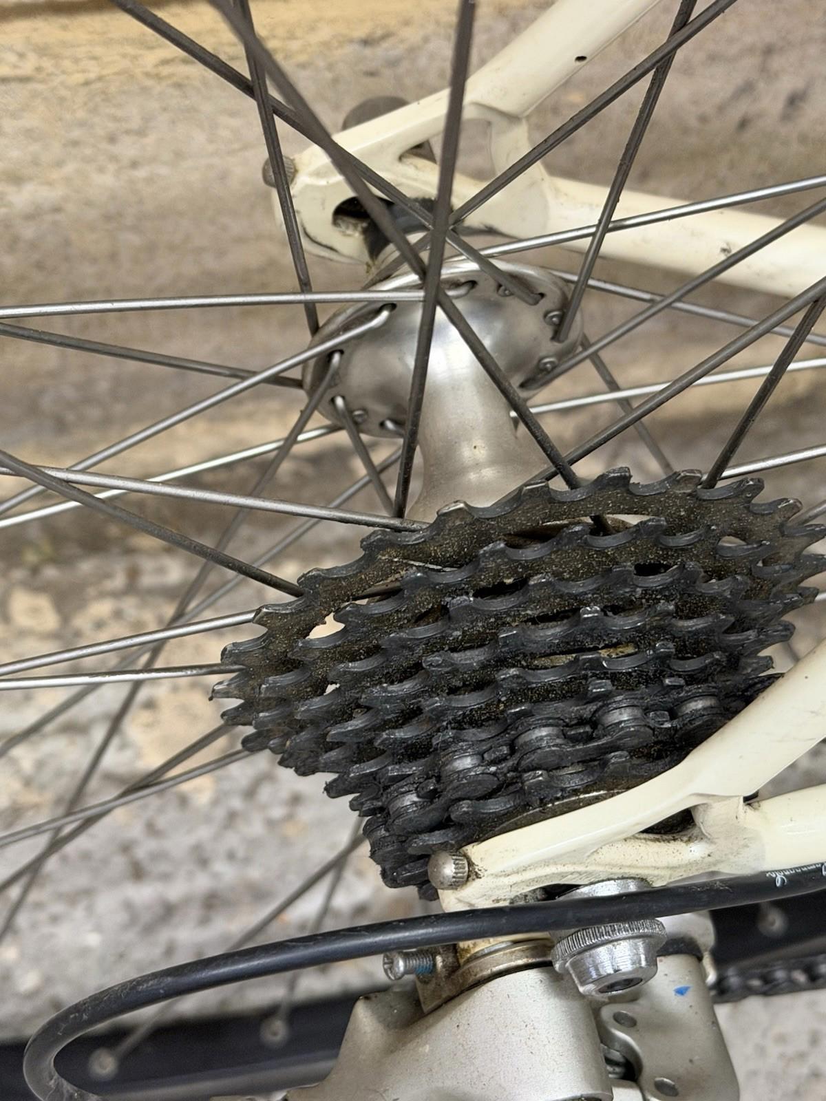 Pinarello Banestro Size Large Campagnolo Groupset Clincher Wheels Road Bike