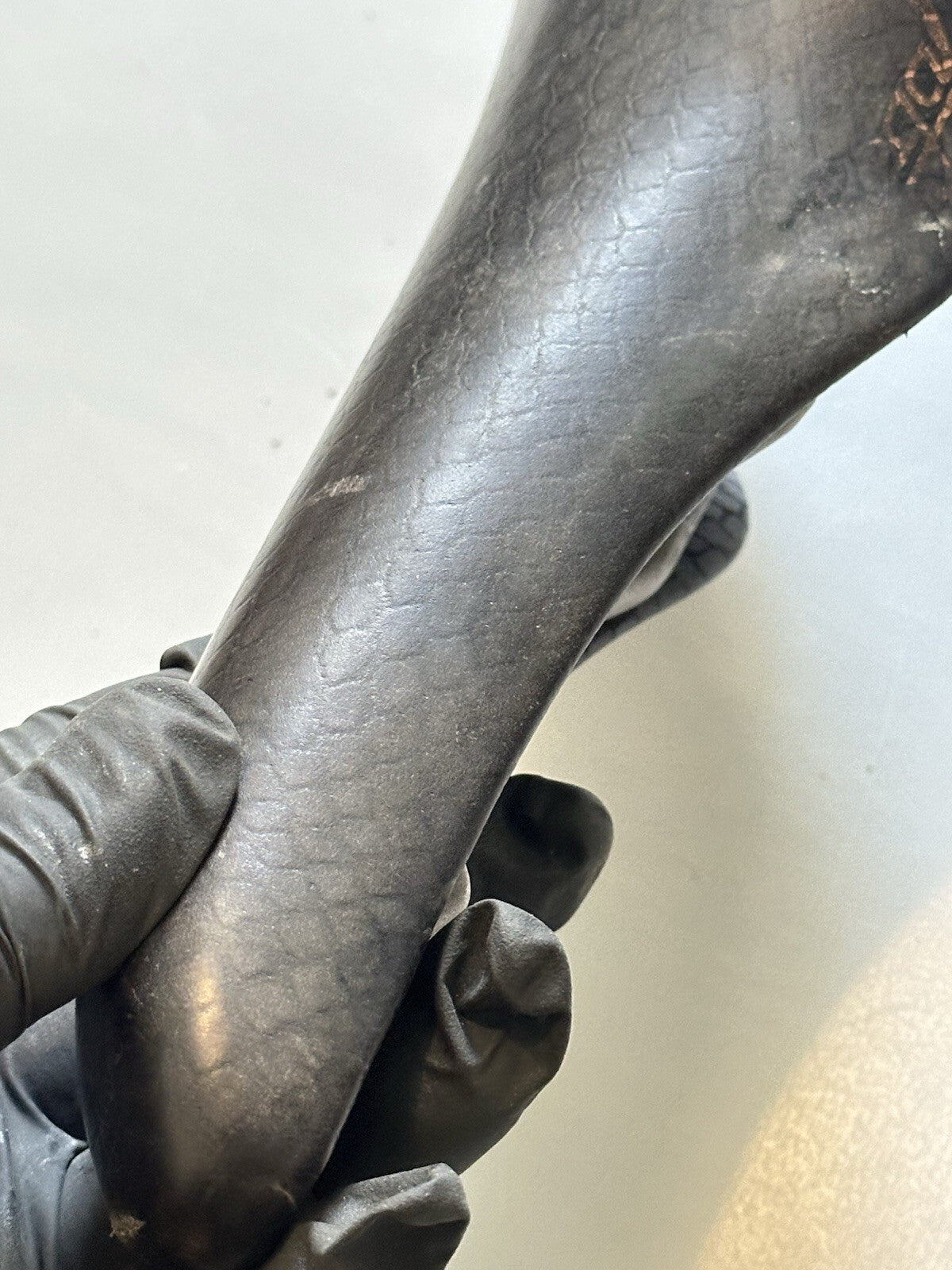 Selle San Marco Regal Girardi Bike Saddle - view 3