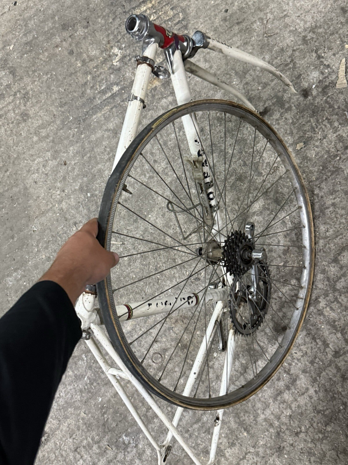 Vintage  Torpado Road Frameset Steel Needs Restoration