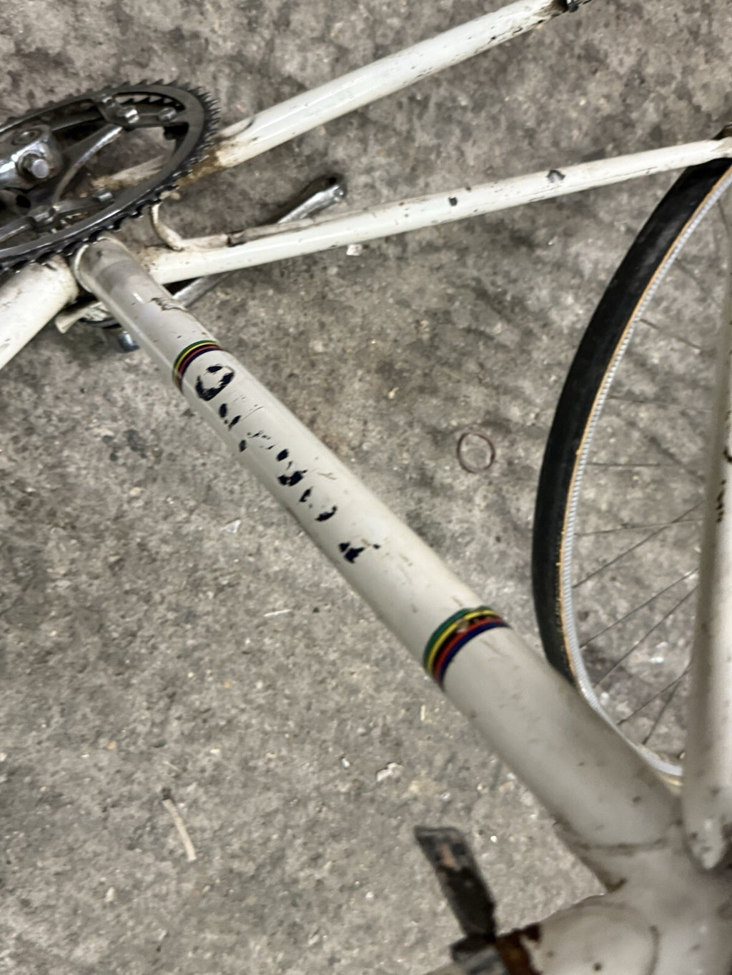 Vintage  Torpado Road Frameset Steel Needs Restoration