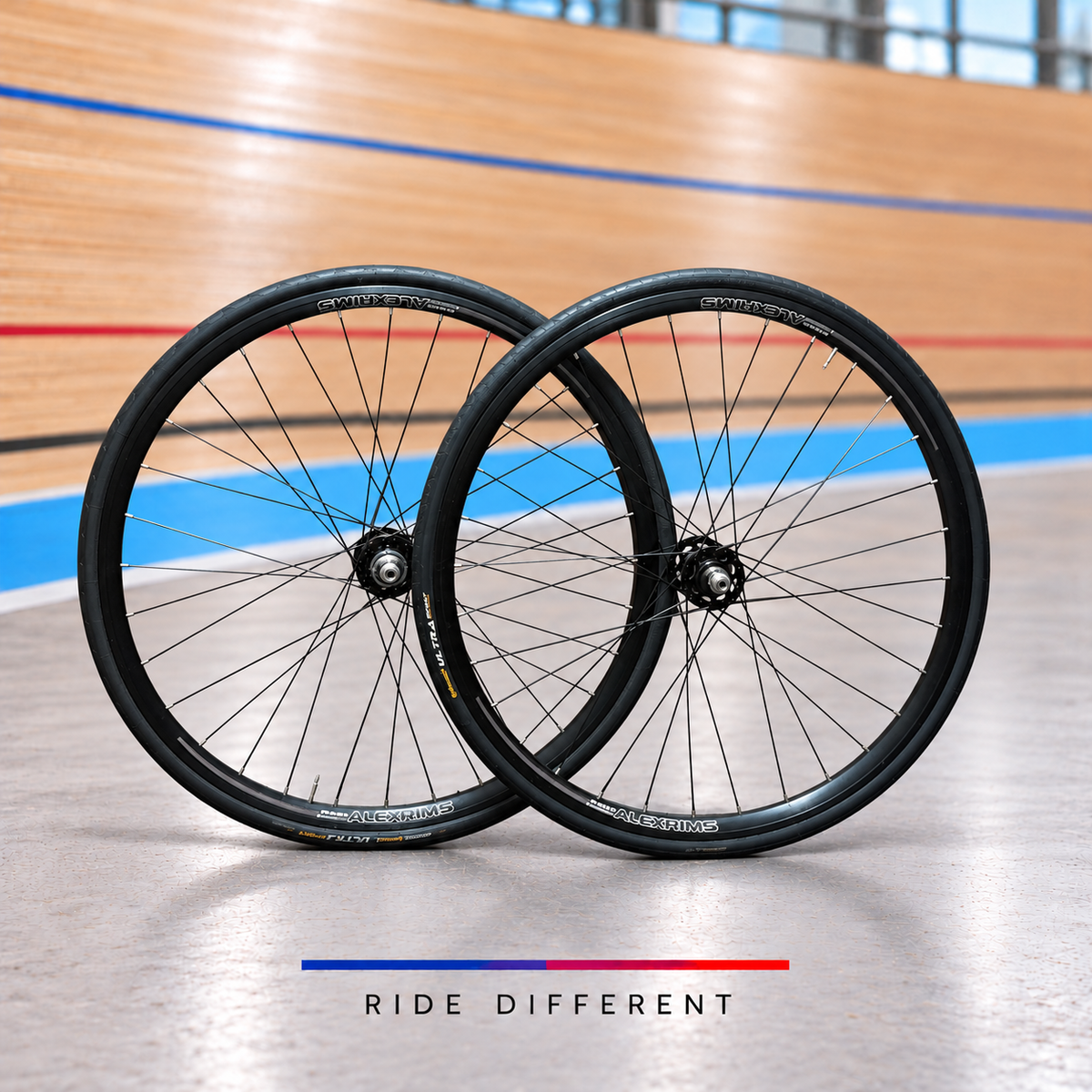 Alexrims 700c clincher track wheelset – front and rear wheels on velodrome background