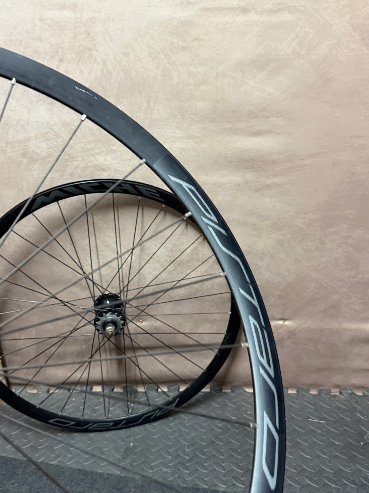 Miche Pistard rim graphics close-up