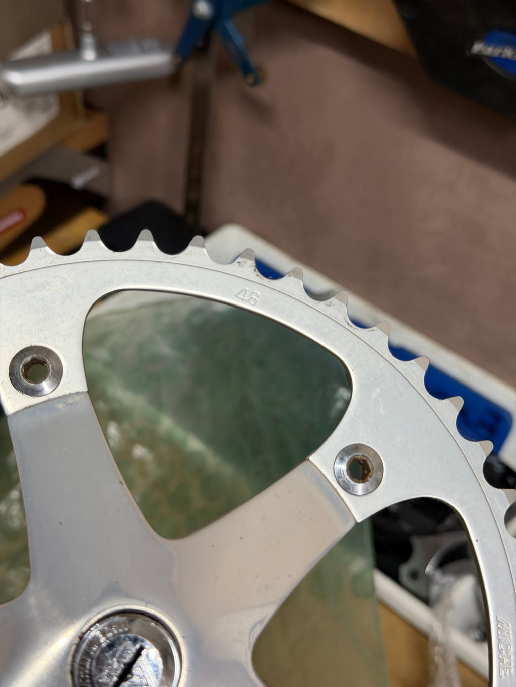 Close-up of Miche chainring teeth and chainring bolt