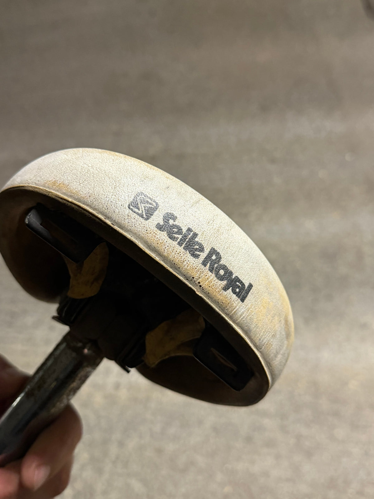 Rear of white bicycle saddle with Selle Royal branding
