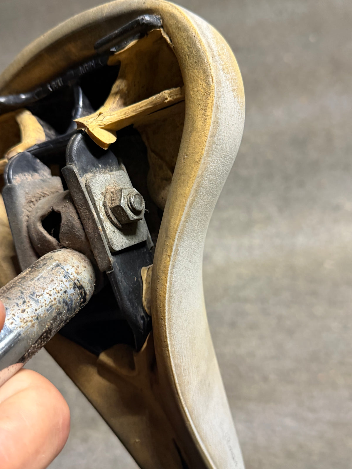 Underside of Selle Royal saddle showing rails and clamp