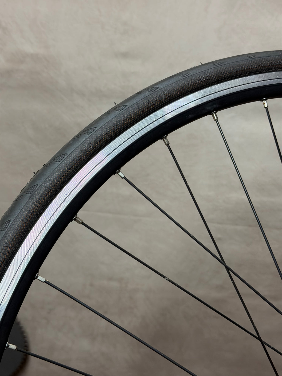 700c clincher fixed gear rear wheel – rim sidewall and tyre