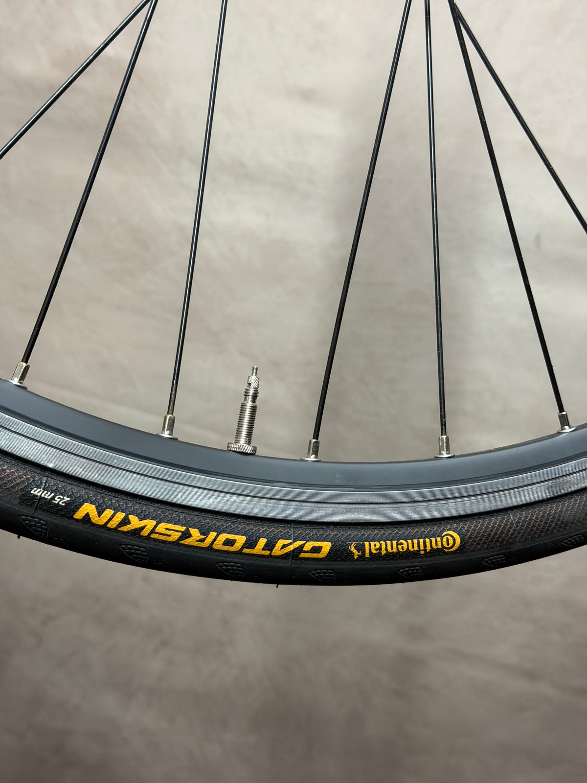 700c clincher fixed gear rear wheel – Continental Gatorskin tyre branding