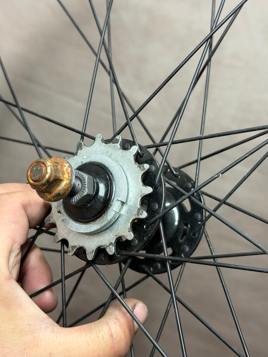 700c clincher fixed gear rear wheel – sprocket, hub and axle close-up