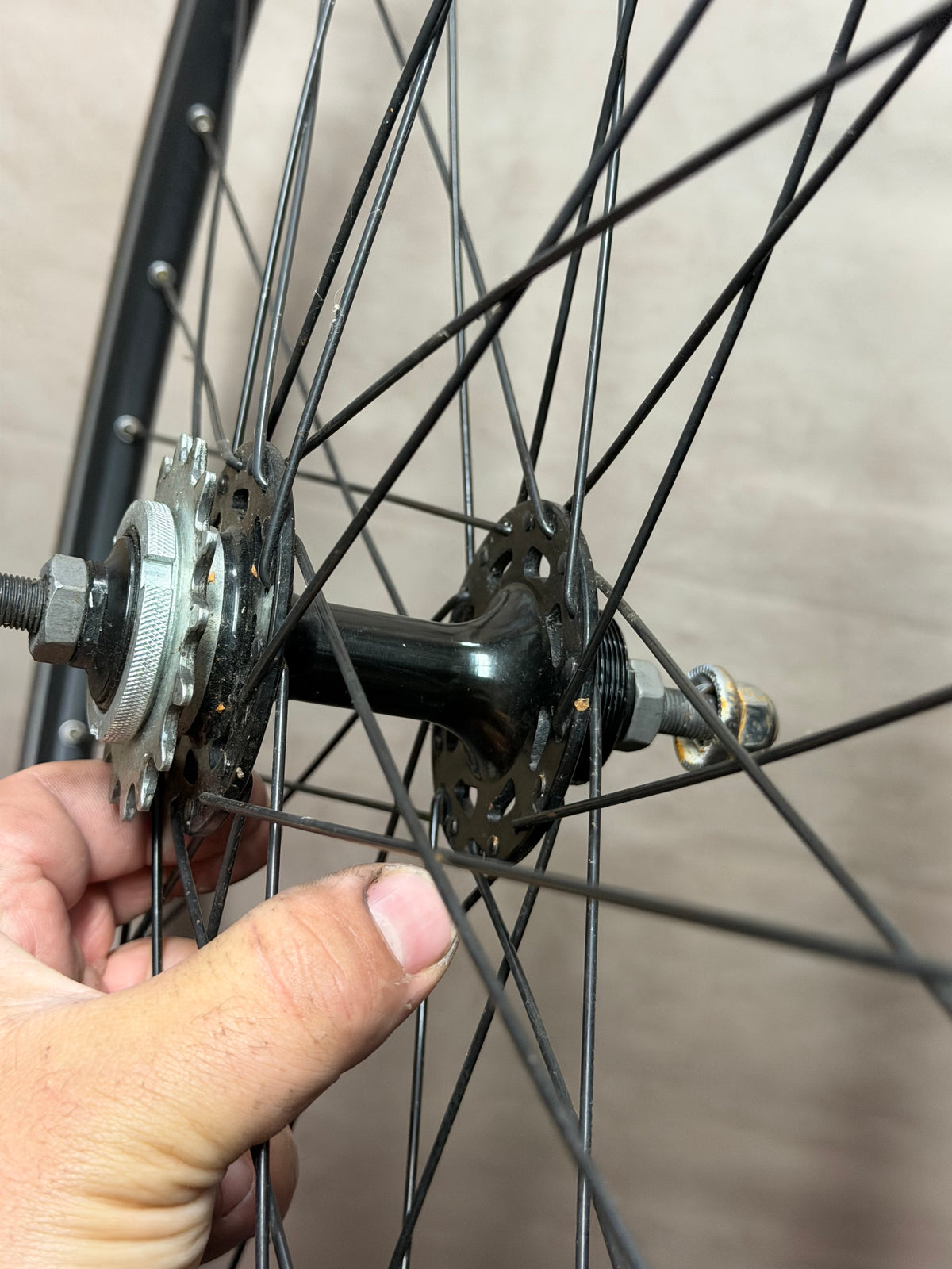 700c clincher fixed gear rear wheel – rear hub and fitted sprocket