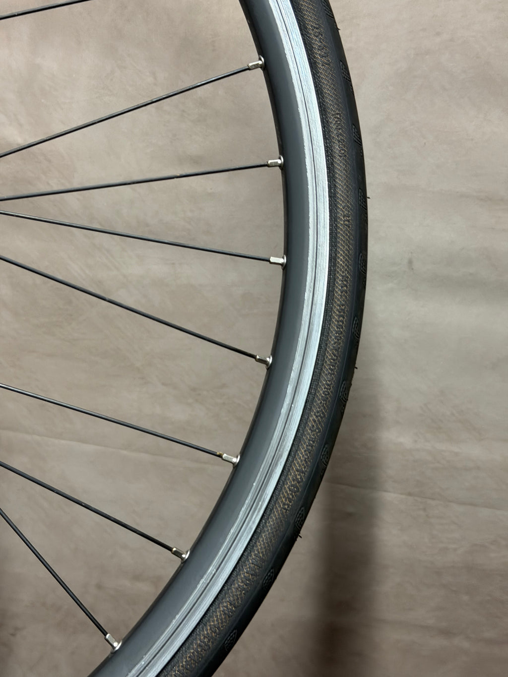 700c clincher fixed gear rear wheel – rim edge and spoke nipples