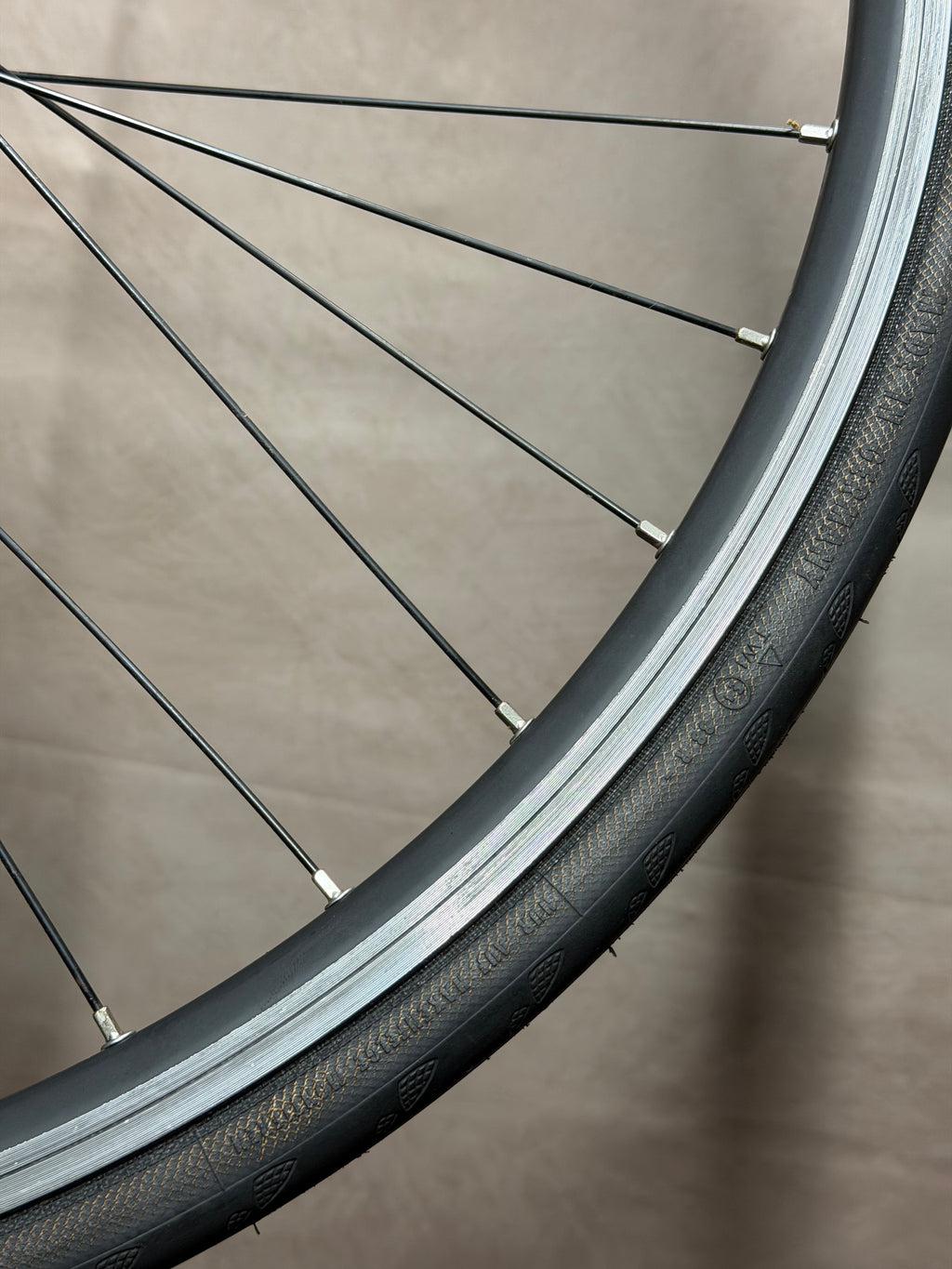 700c clincher fixed gear rear wheel – rim and crossed spokes