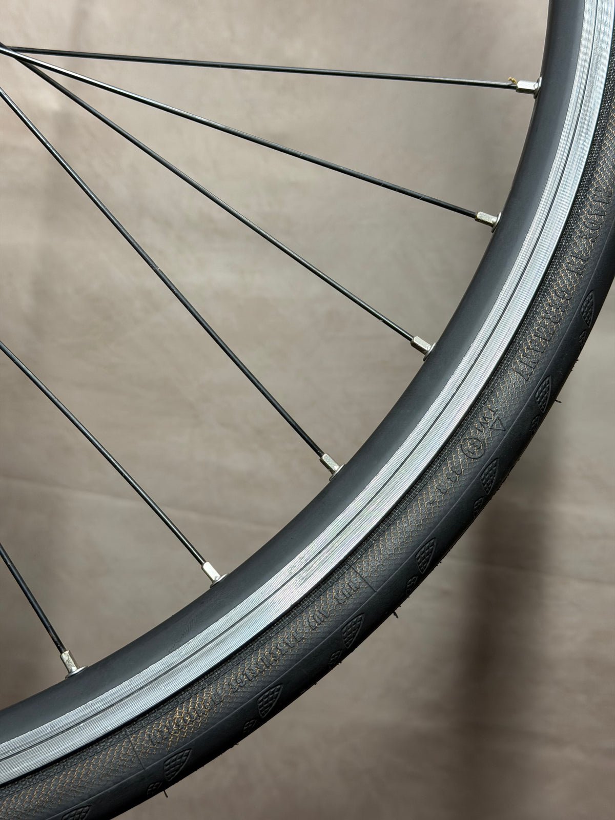 700c clincher fixed gear rear wheel – rim and crossed spokes