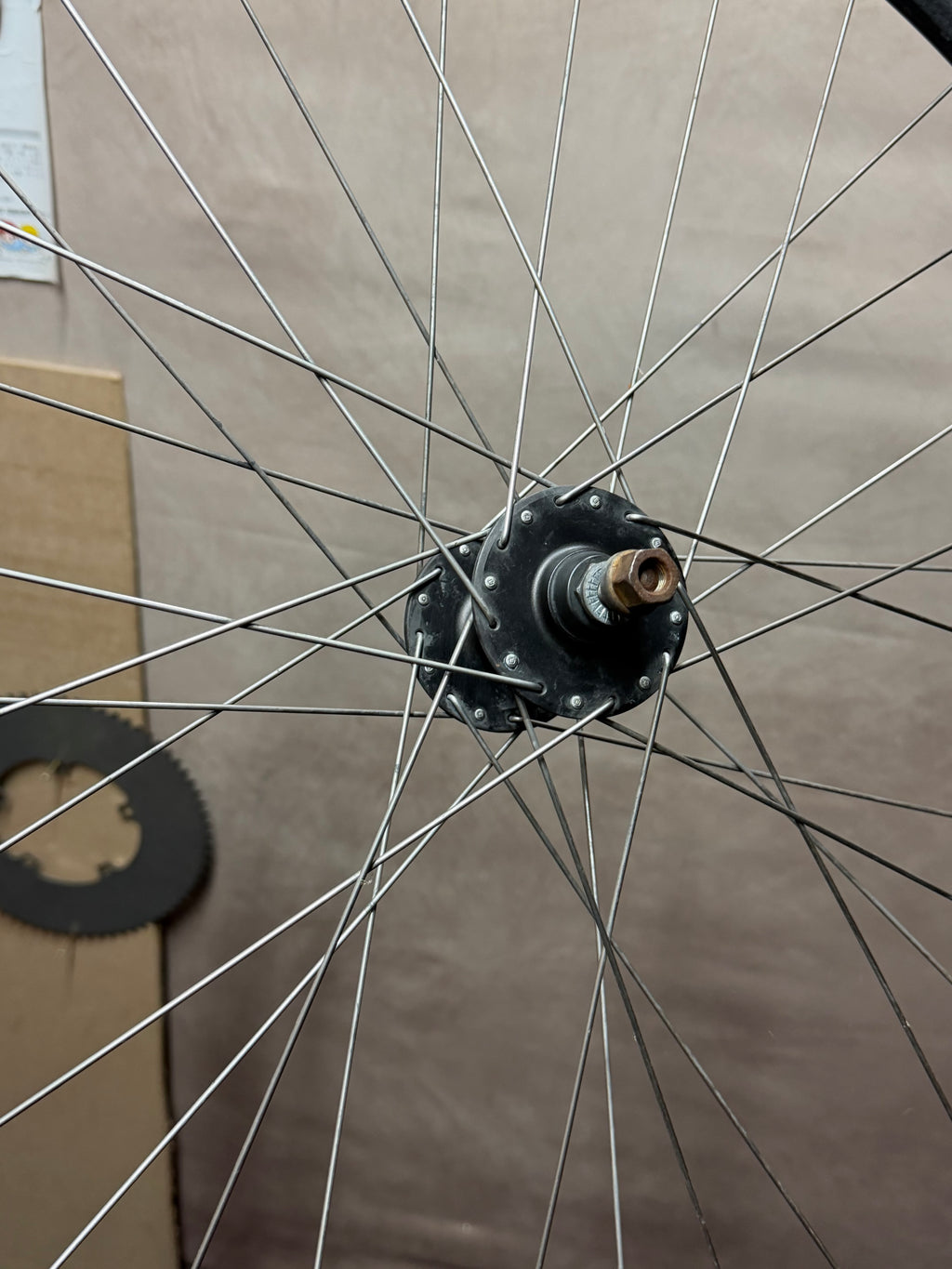 700c clincher track front wheel – front hub viewed through spokes