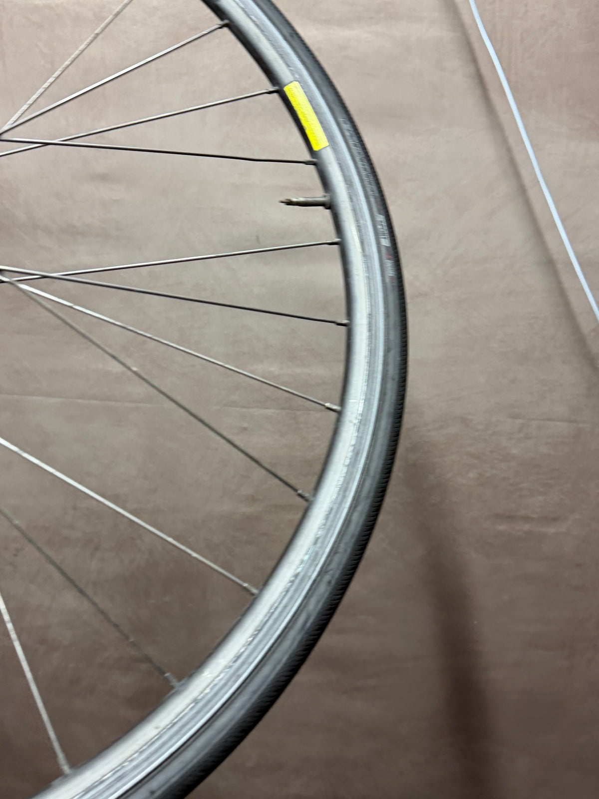700c clincher track front wheel – rim decal and tyre sidewall
