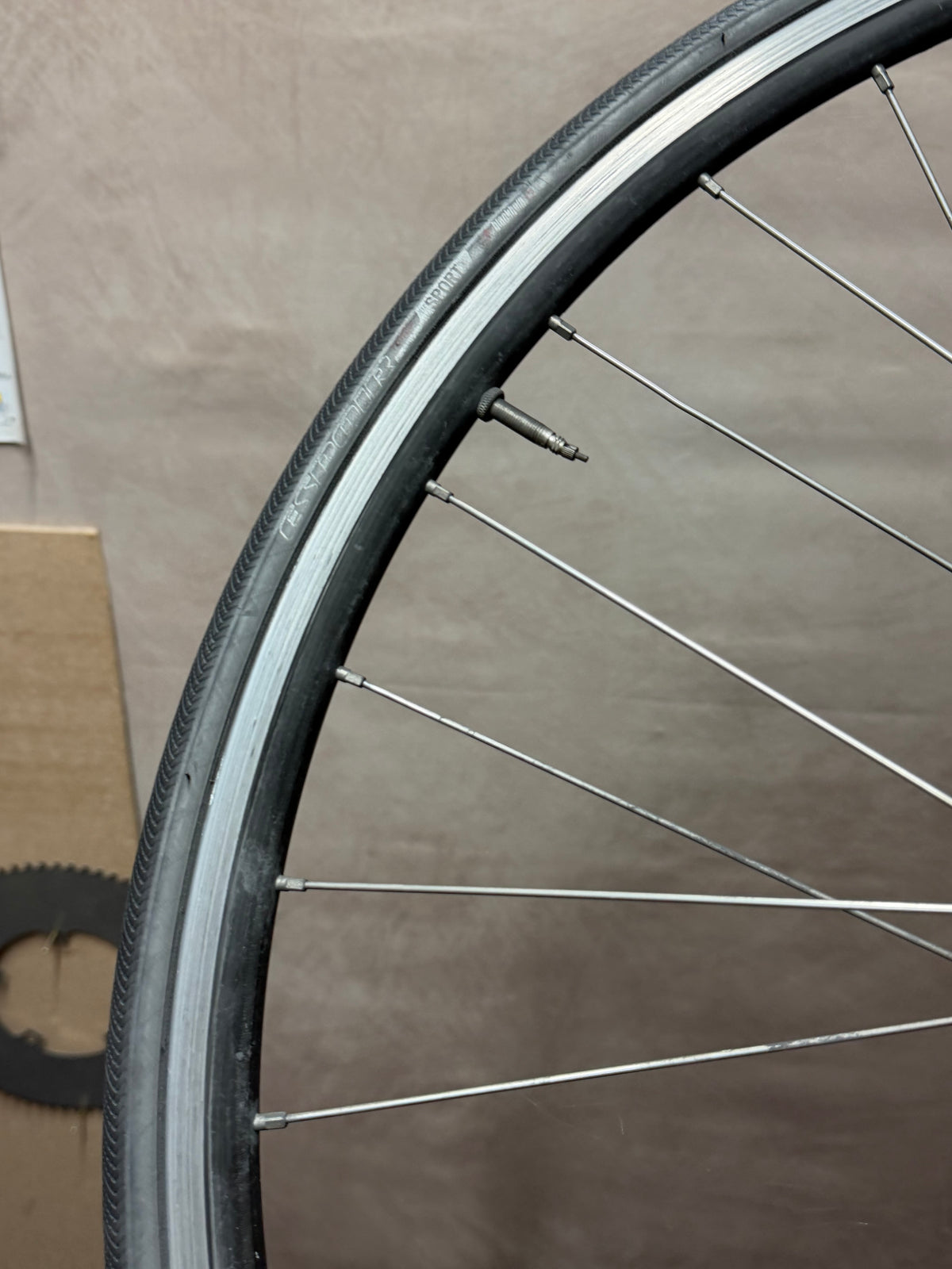 700c clincher track front wheel – rim, tyre and silver spokes