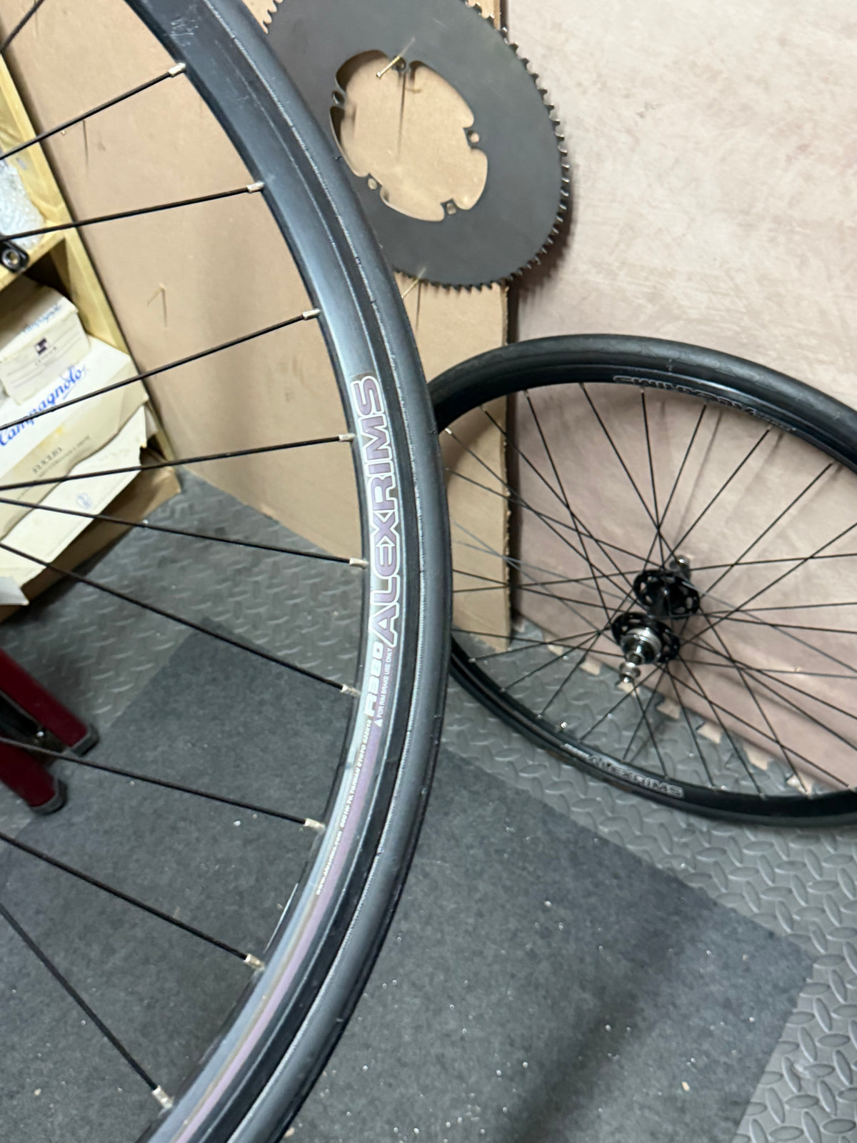 Alexrims 700c clincher track wheelset – rim and tyre with second wheel behind
