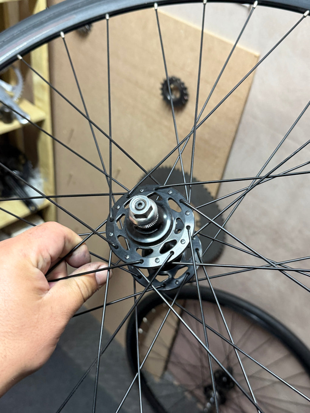 Alexrims 700c clincher track wheelset – hub flange and spoke lacing