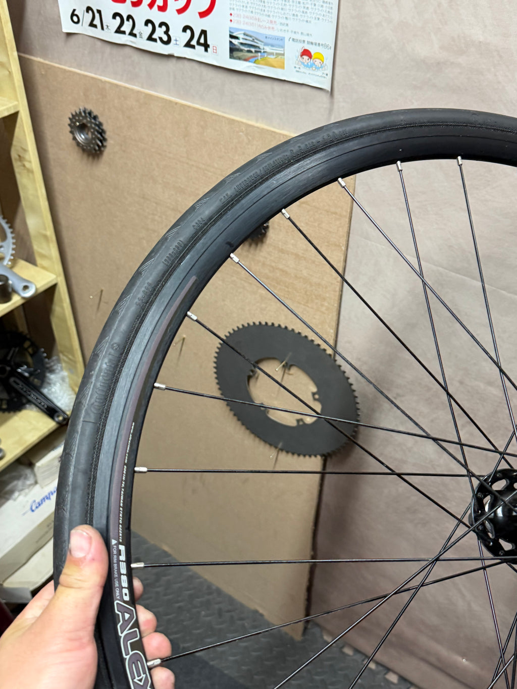 Alexrims 700c clincher track wheelset – wheel held upright