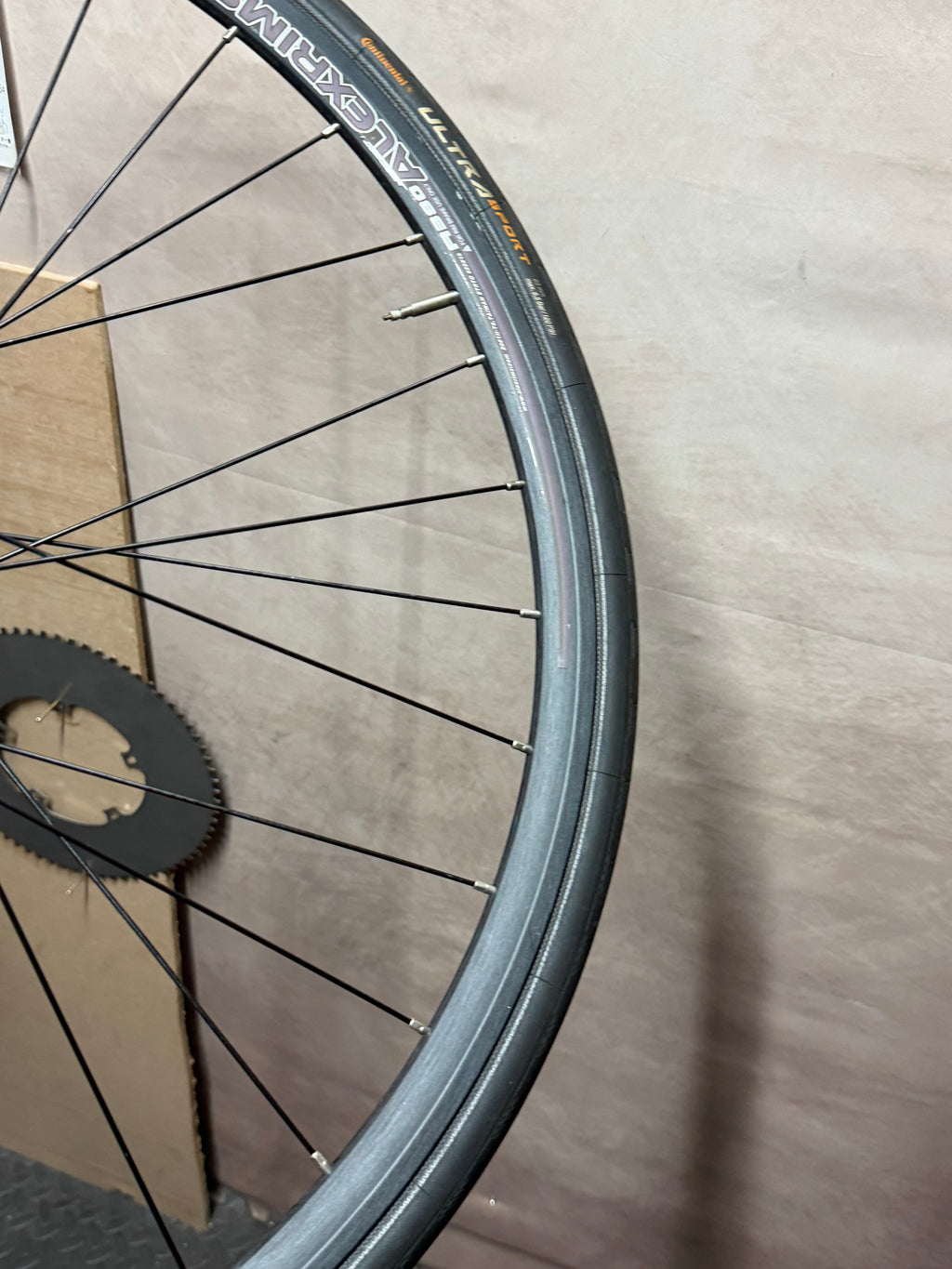 Alexrims 700c clincher track wheelset – rim, tyre and spokes