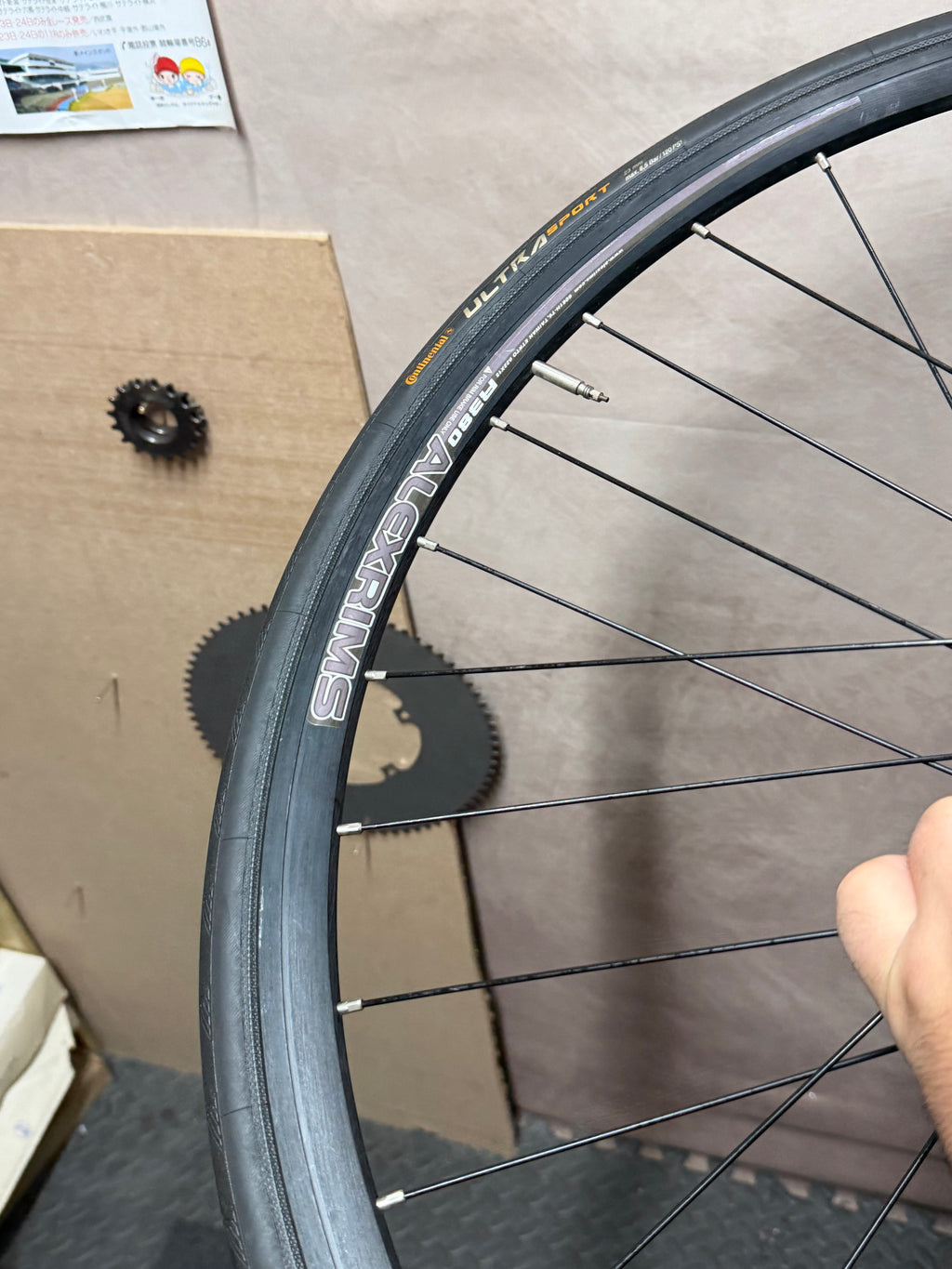 Alexrims 700c clincher track wheelset – tyre tread and wheel rim