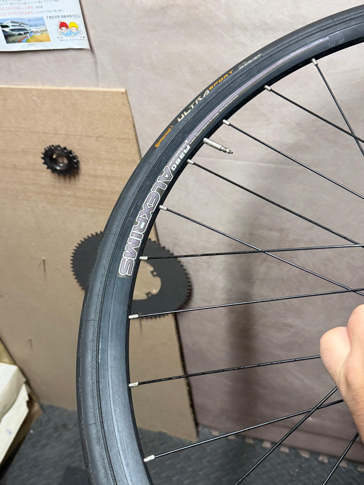 Alexrims 700c clincher track wheelset – tyre tread and wheel rim