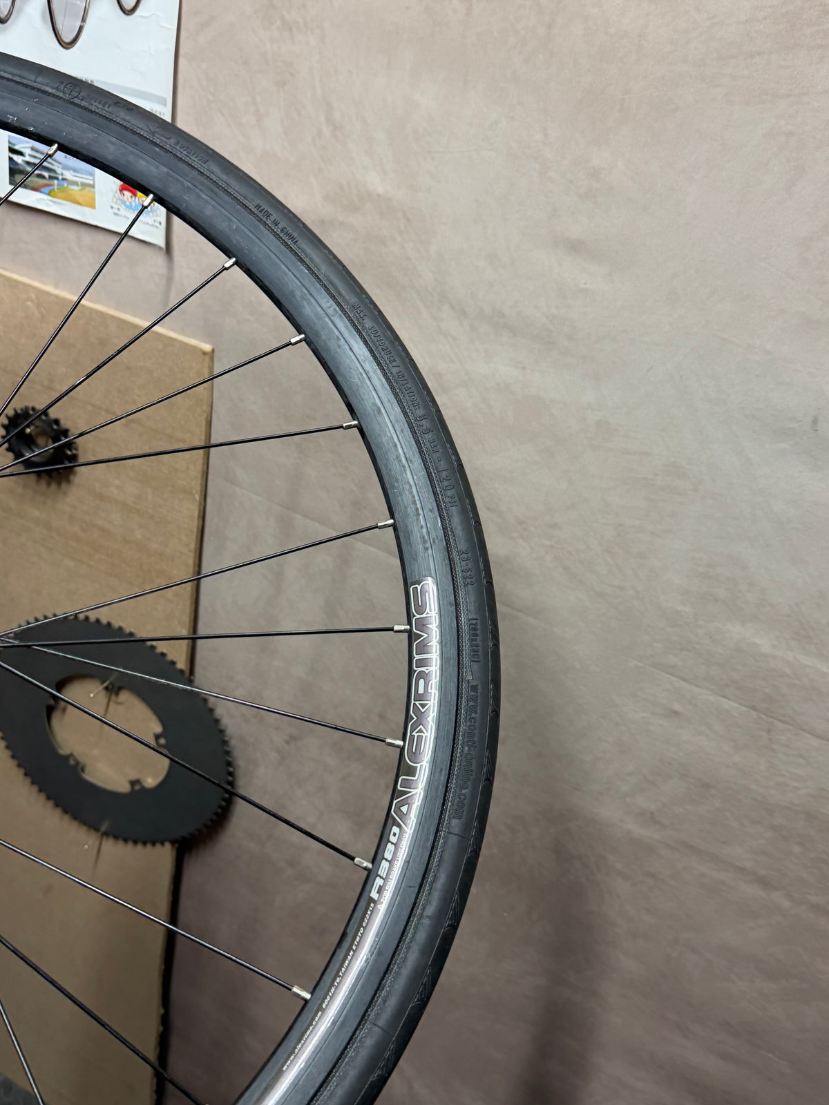 Alexrims 700c clincher track wheelset – rim sidewall close-up