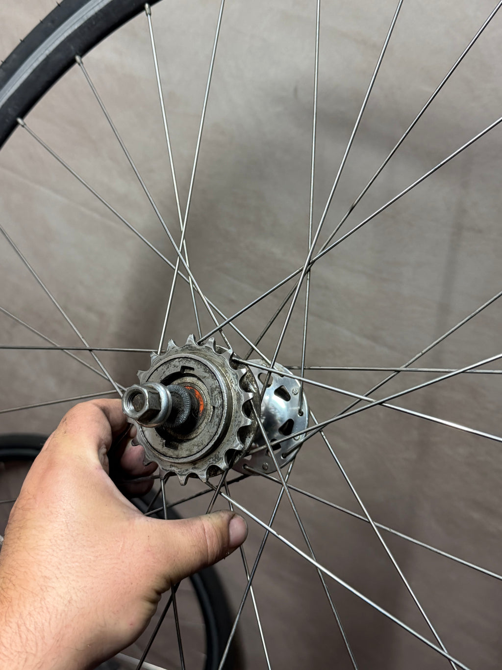 700c single speed clincher wheelset – silver rear hub held close to camera