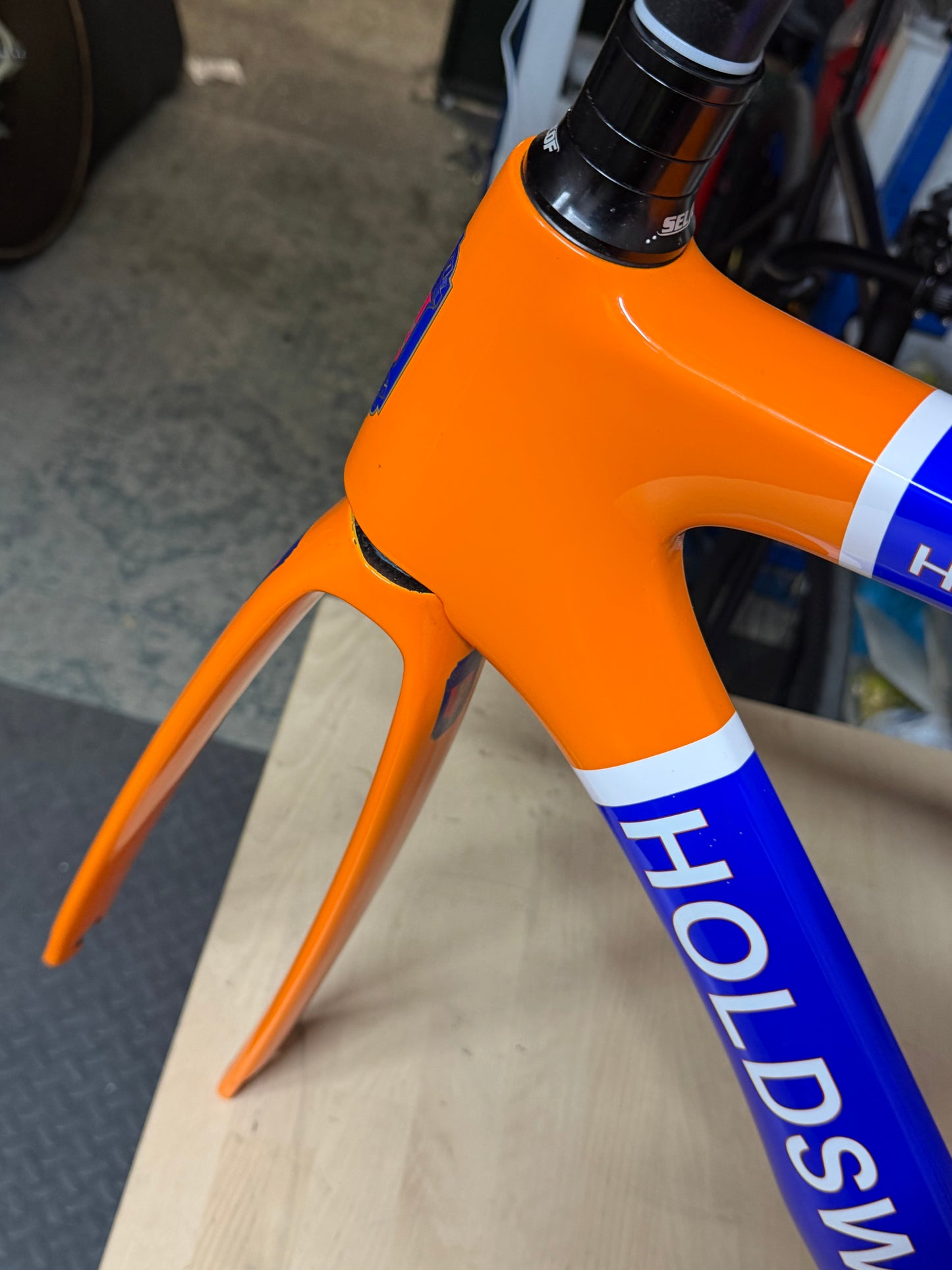 Holdsworth carbon track frameset size 56