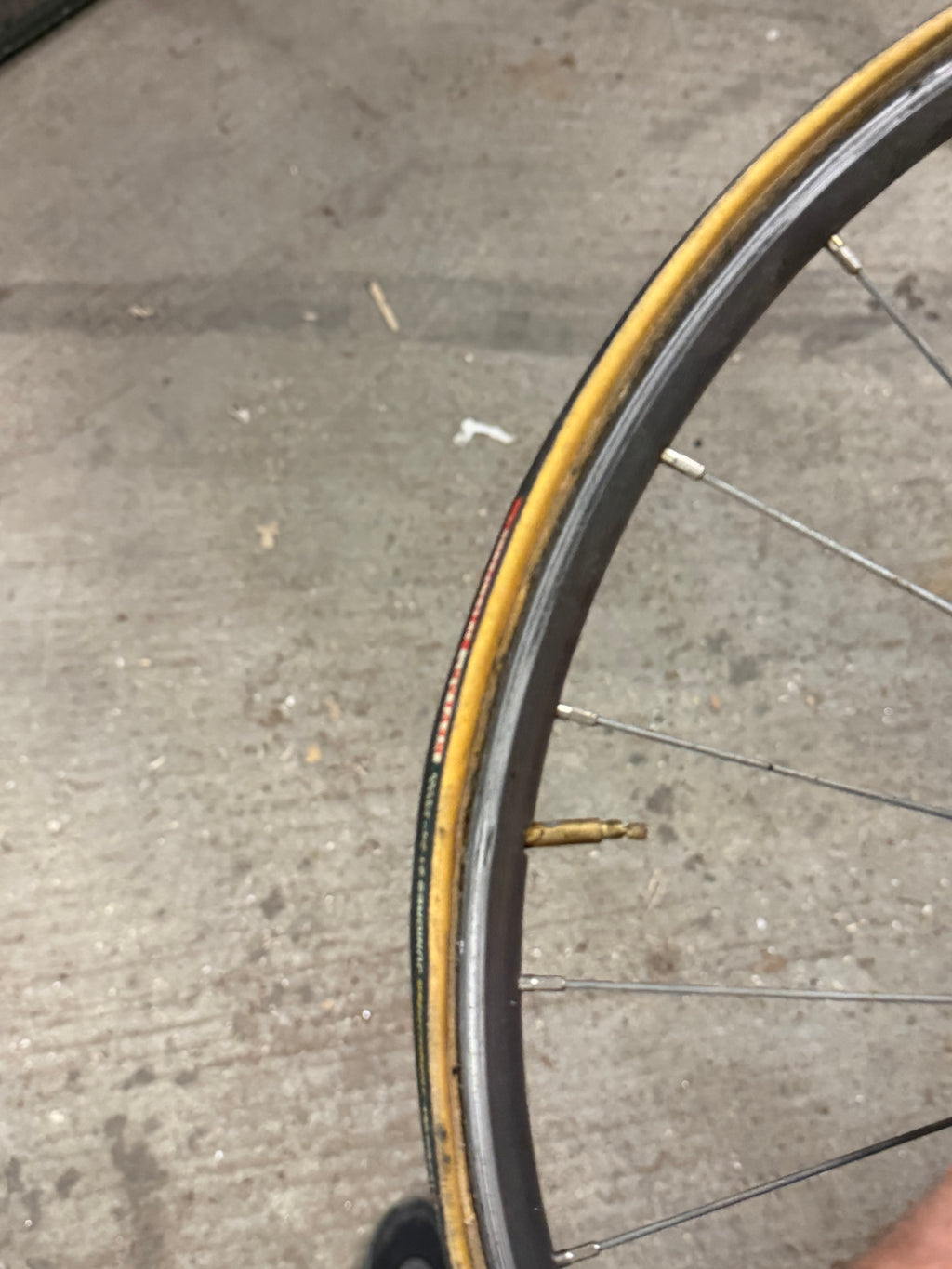 Campagnolo Pista Front Wheel Tubular