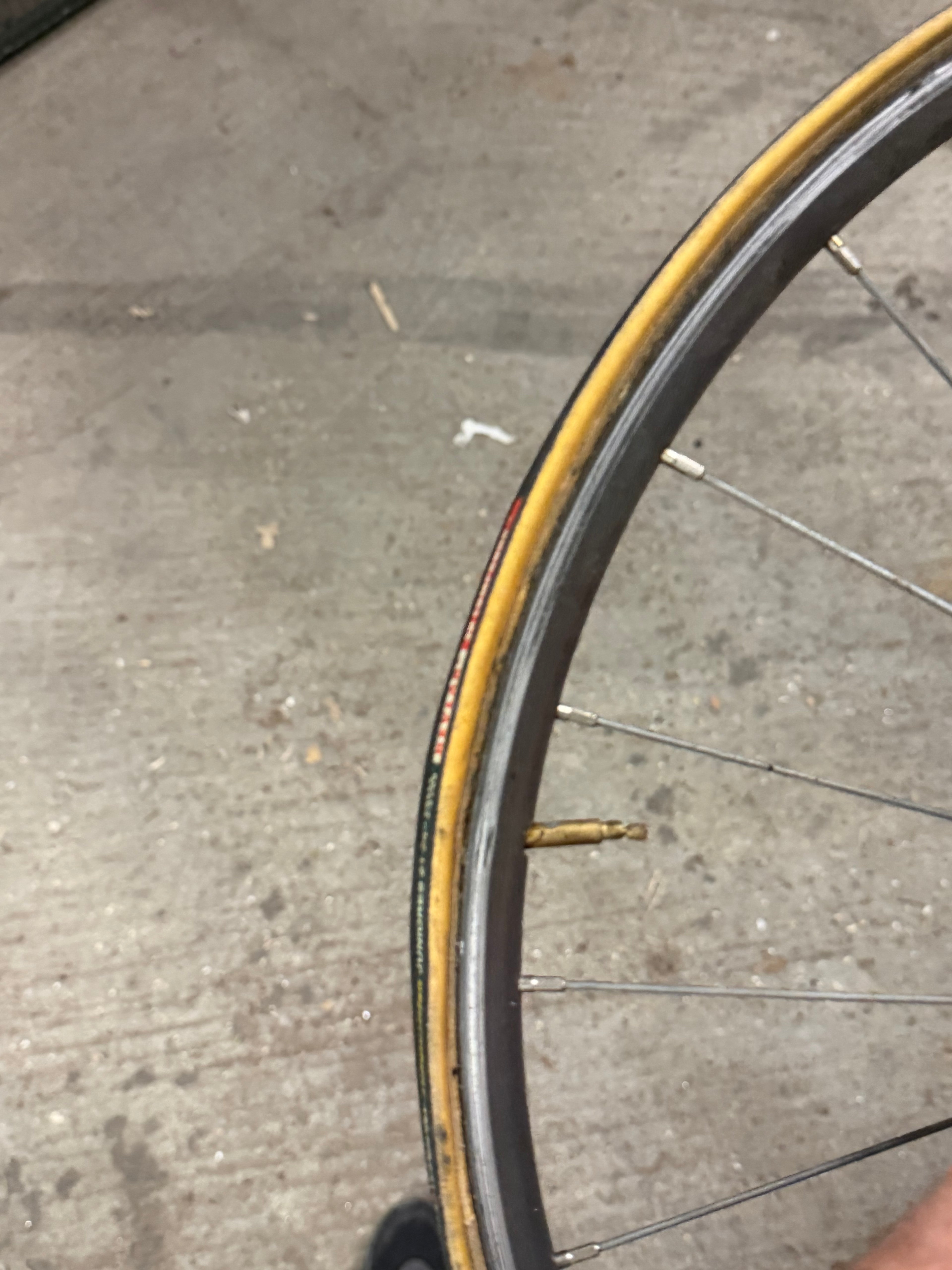 Campagnolo Pista Front Wheel Tubular