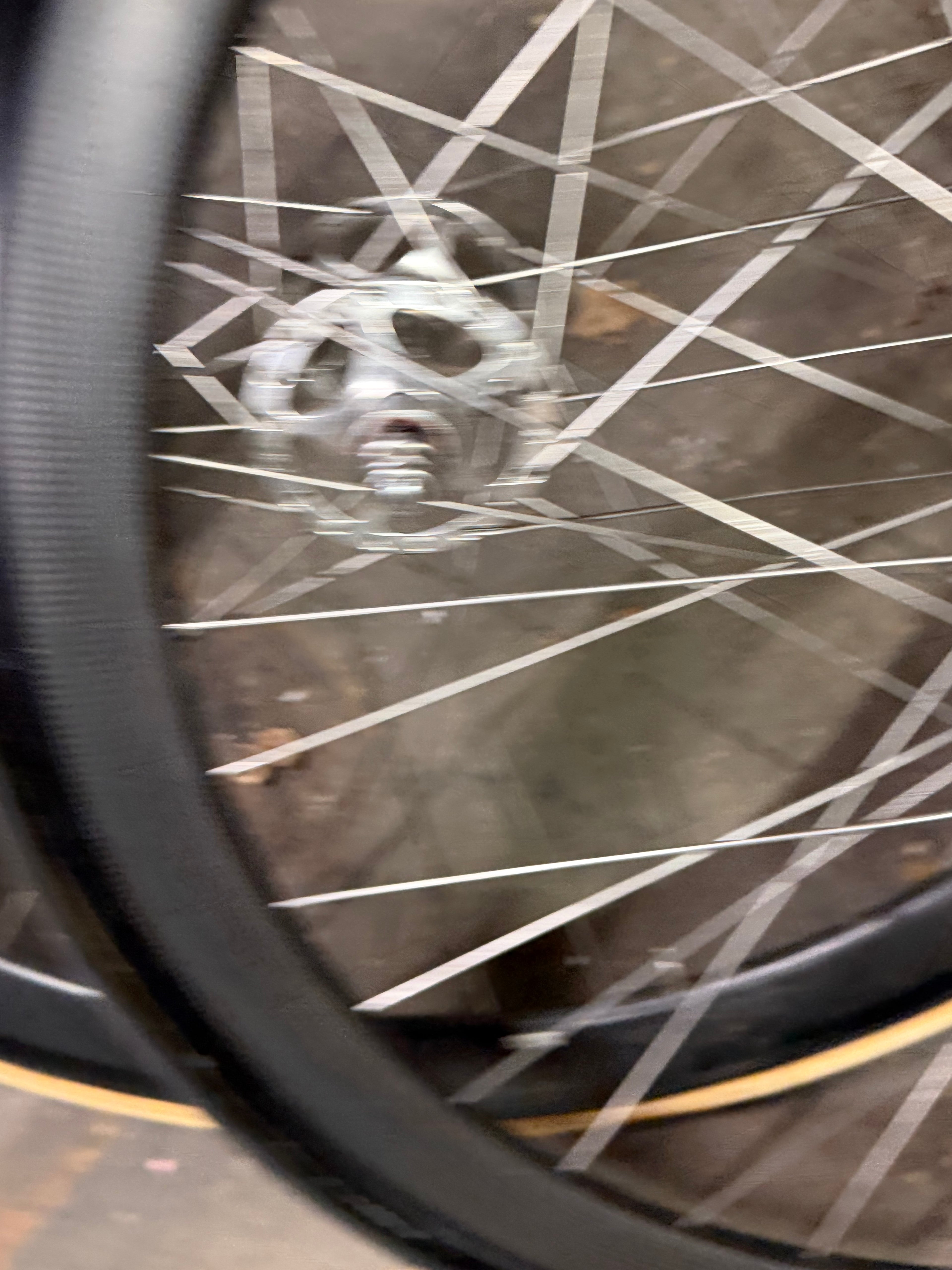 Campagnolo Pista Tubular Wheelset Sheriff Hubs Carbon RIm
