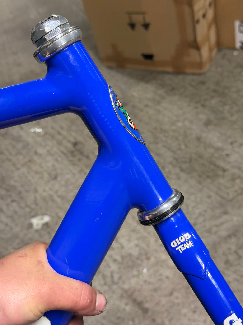 Gios A-90 Pista Frameset Size 53