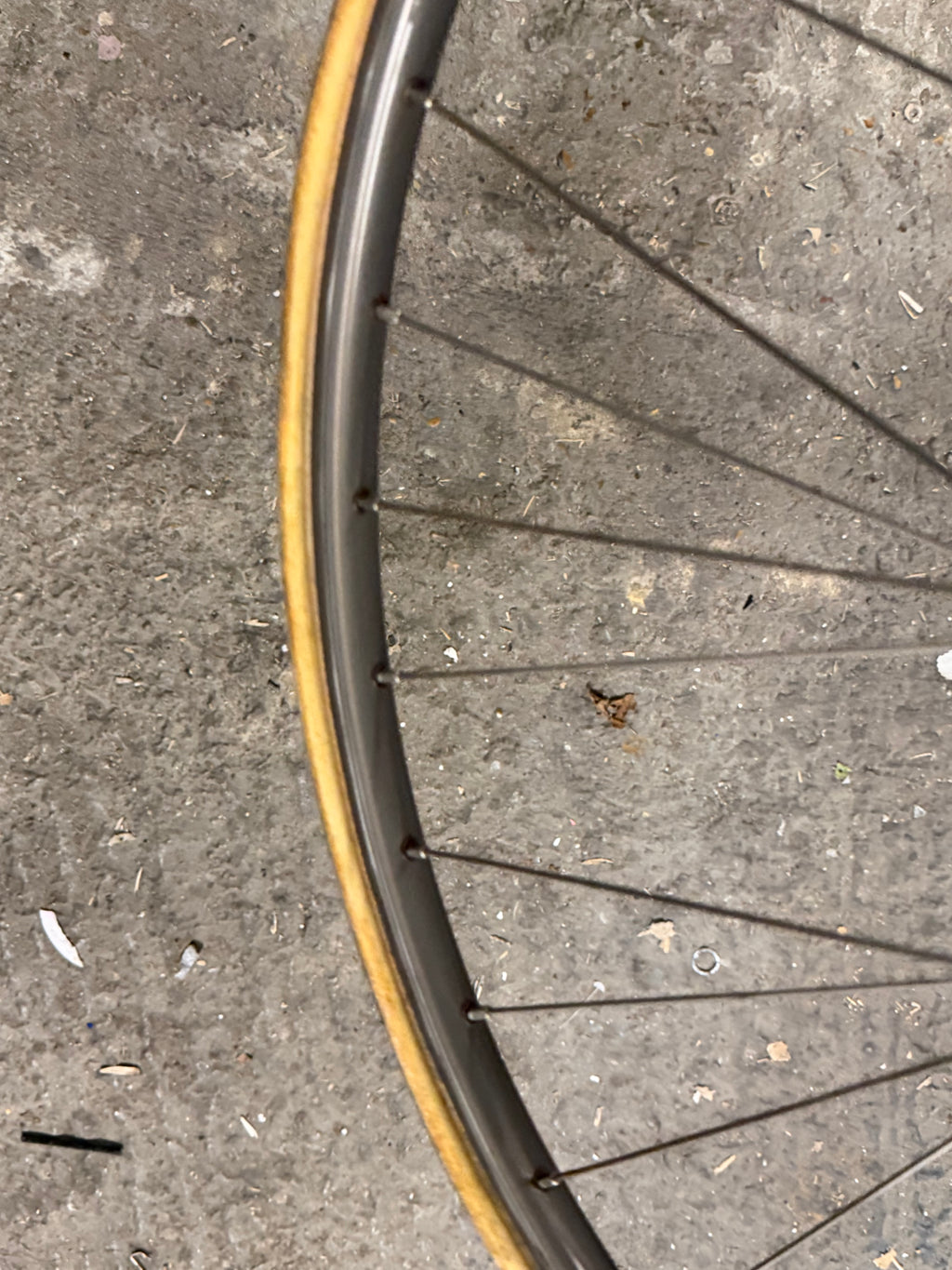 Miche Rear Tubular Track Wheel