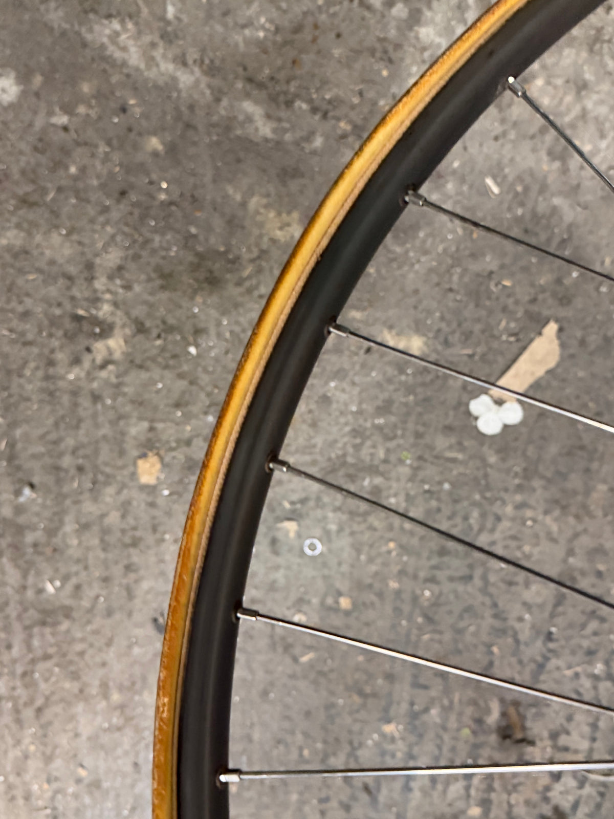 Miche Rear Tubular Track Wheel