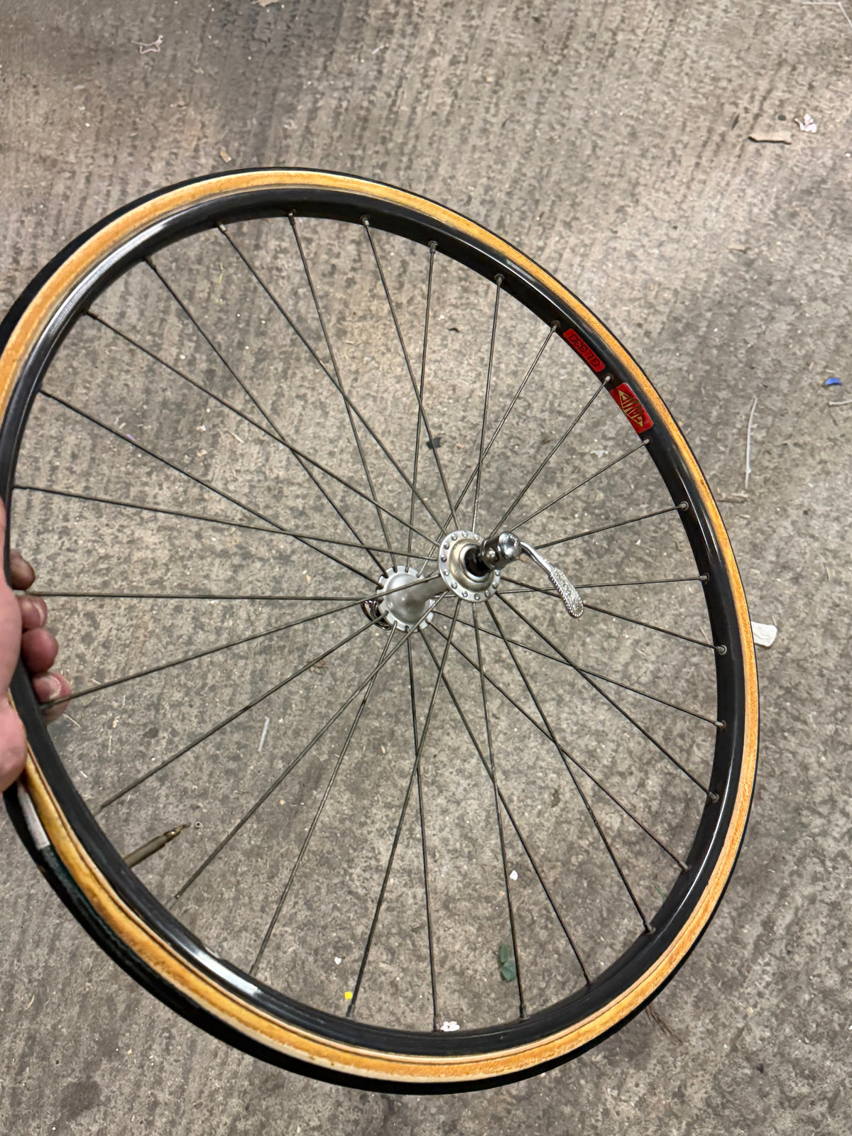 Front Road Wheel Campagnolo Hub 24inch Rim