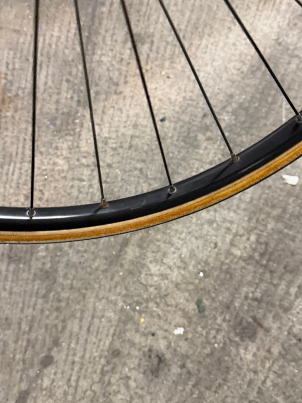 Front Road Wheel Campagnolo Hub 24inch Rim