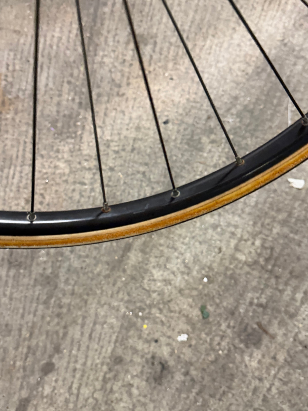 Front Road Wheel Campagnolo Hub 24inch Rim